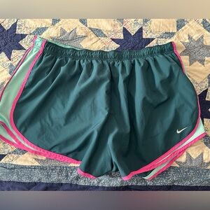 Nike Teal and Pink Athletic Shorts